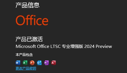 Microsoft Office 2024 专业增强版